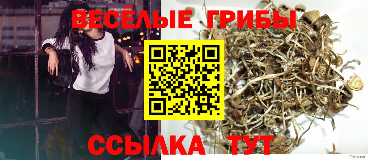 Галлюциногенные грибы прущие грибы  Вход с VPN  Самара 