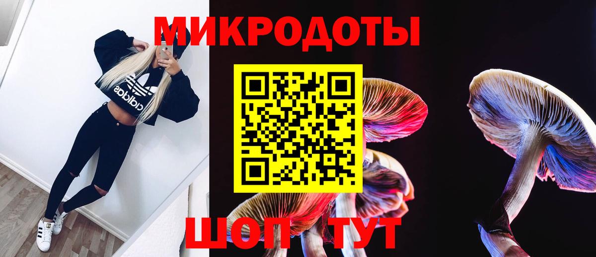 Псилоцибиновые грибы Cubensis Самара